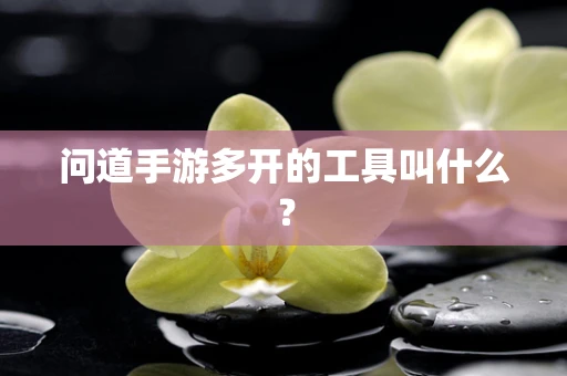 问道手游多开的工具叫什么？