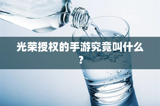光荣授权的手游究竟叫什么？