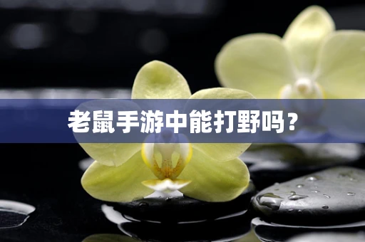 老鼠手游中能打野吗？