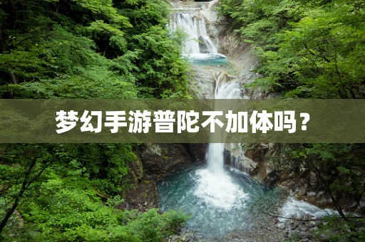梦幻手游普陀不加体吗？