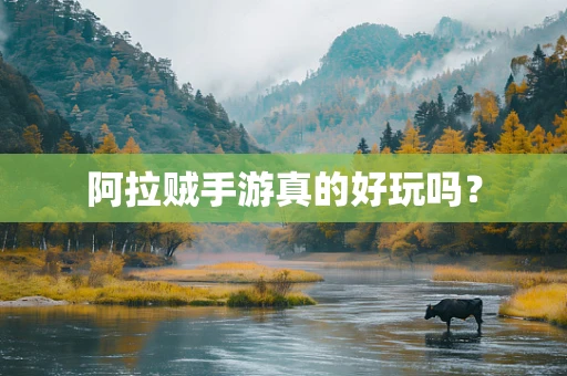 阿拉贼手游真的好玩吗？