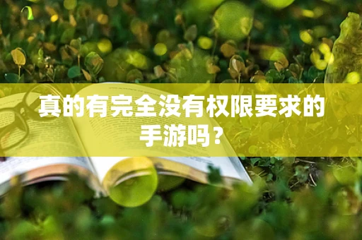 真的有完全没有权限要求的手游吗？
