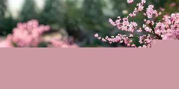 韩服手游里没有红眼吗？