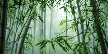 有哪些可以体验轻功的手游呢？