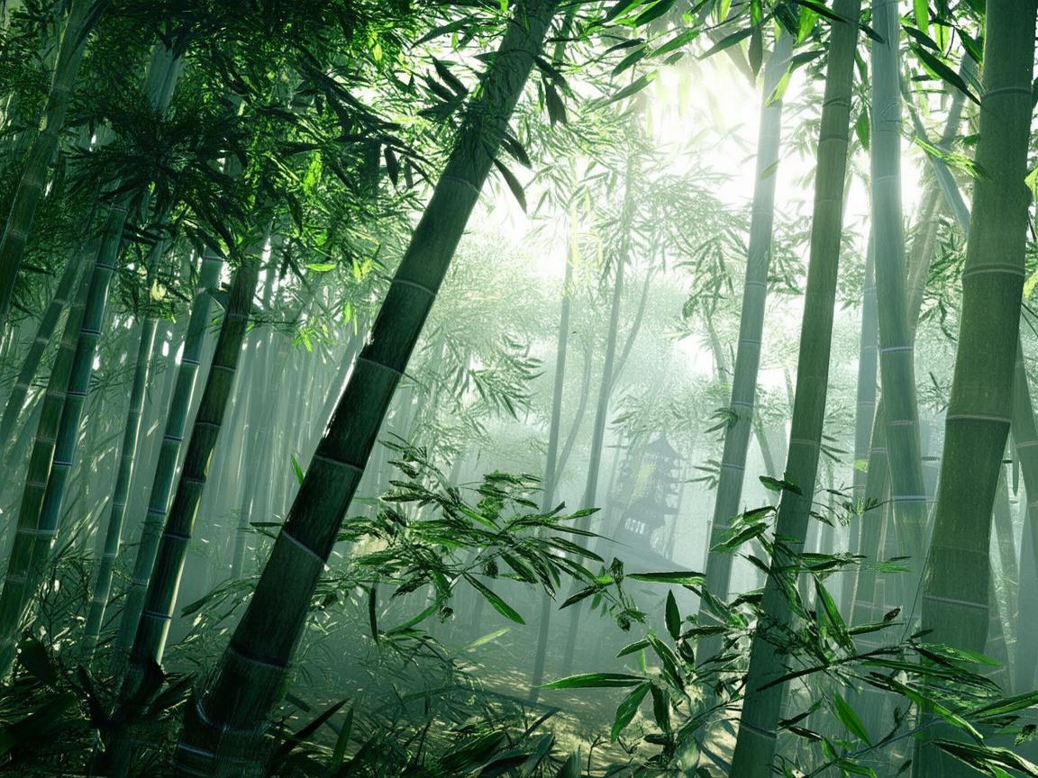 楚留香手游真的没剧情吗？